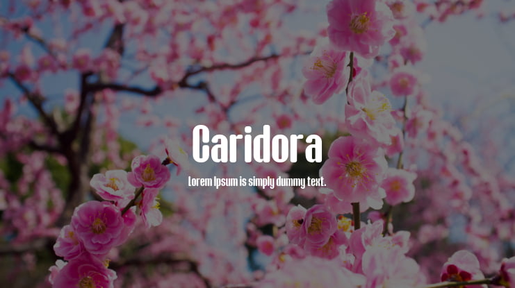 Caridora Font