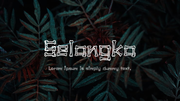 Selangka Font