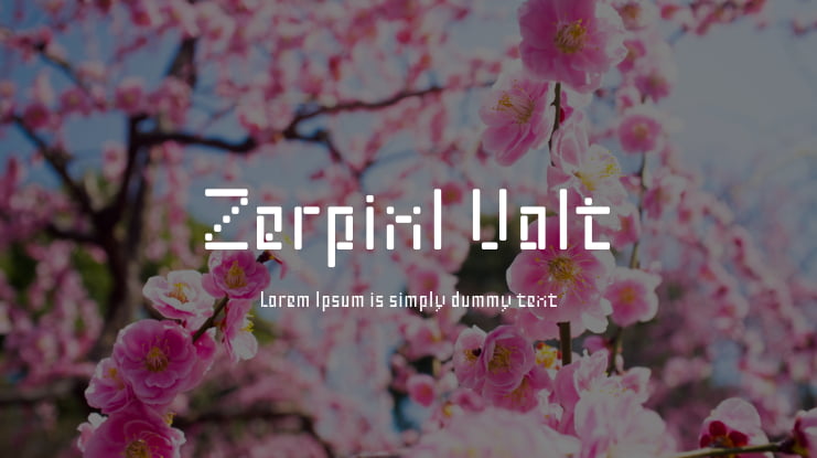 Zerpixl Volt Font Family