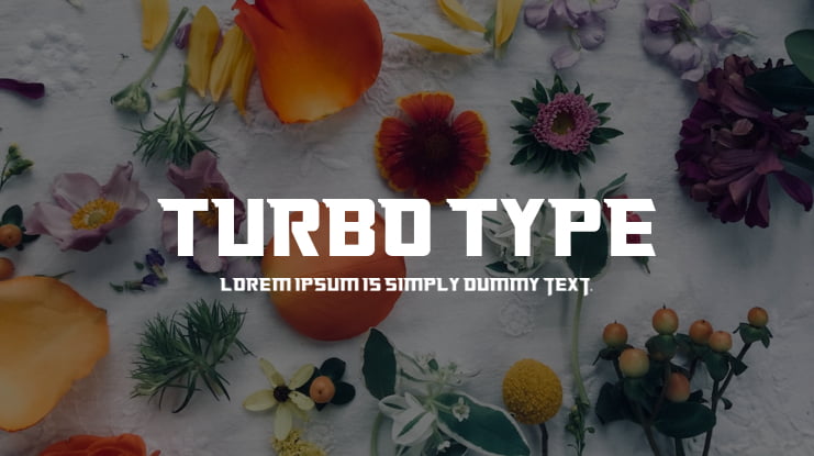 Turbo Type Font Family