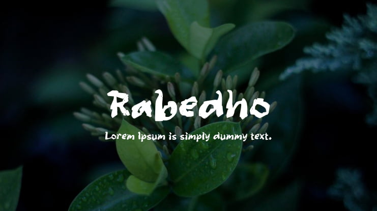 Rabedho Font