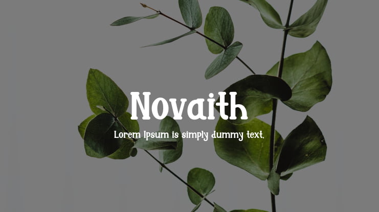 Novaith Font