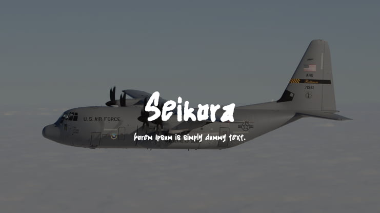 Seikora Font