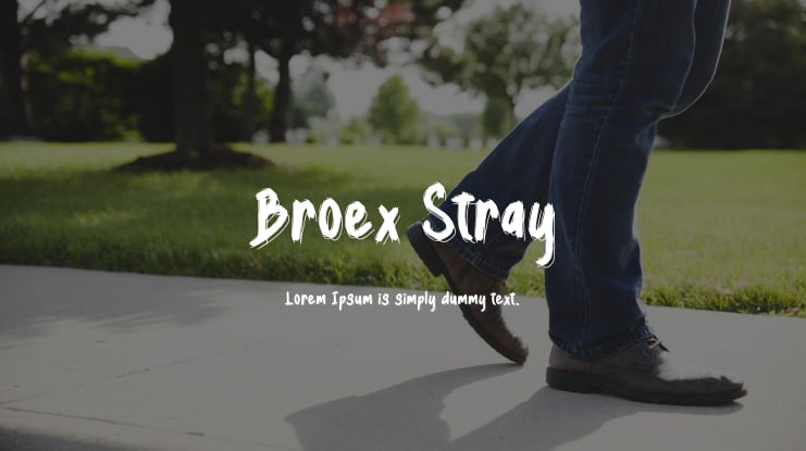 Broex Stray Font