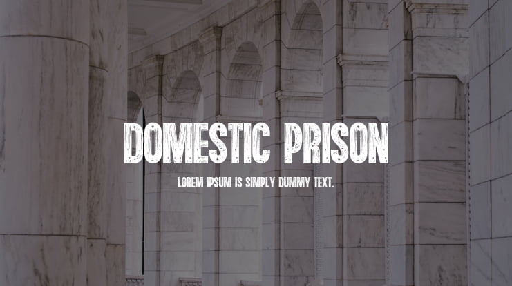 Domestic Prison Font Family