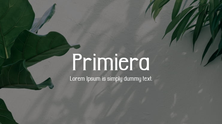 Primiera Font Family