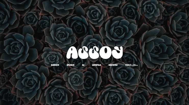 Assoy Font