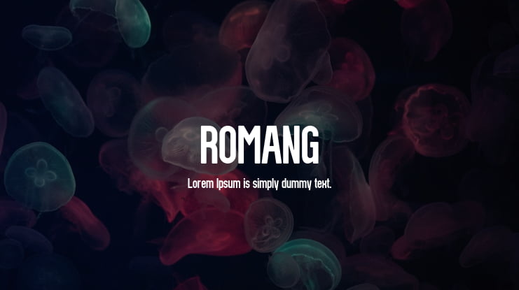 ROMANG Font Family