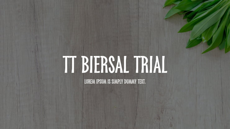 TT Biersal Trial Font Family