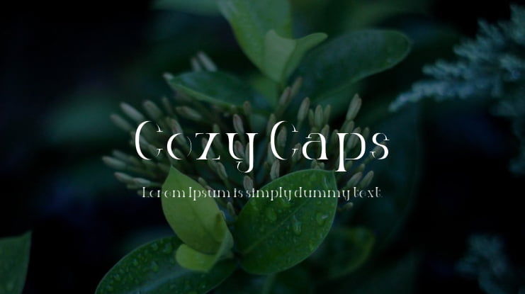 Cozy Caps Font Family