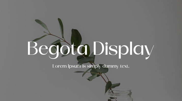 Begota Display Font