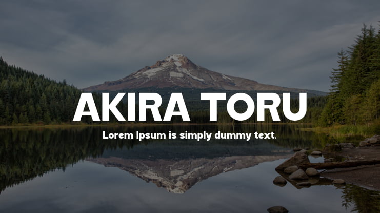 AKIRA TORU Font