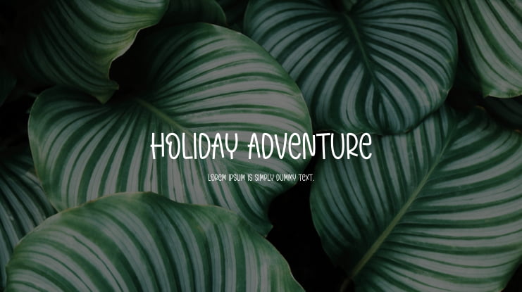 Holiday Adventure Font