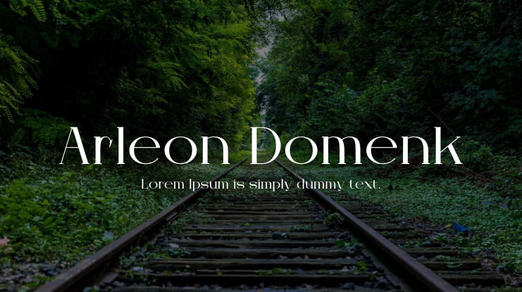 Arleon Domenk Font