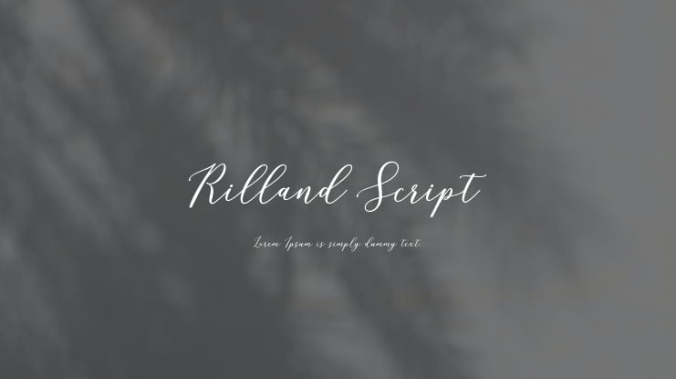 Rilland Script Font