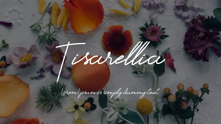 Tisarellia Font