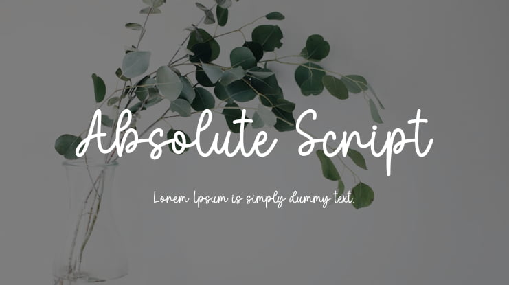 Absolute Script Font