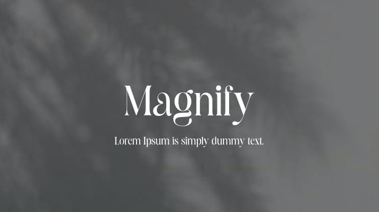 Magnify Font