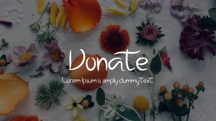 Donate Font