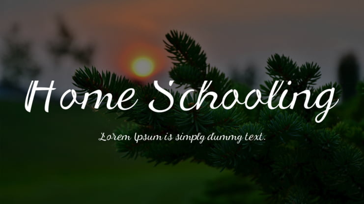 Home Schooling Font