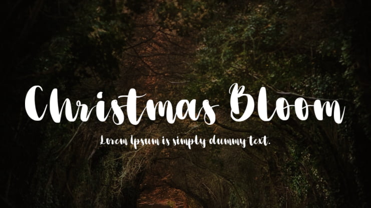 Christmas Bloom Font