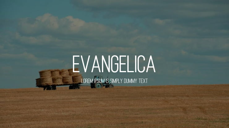 Evangelica Font Family