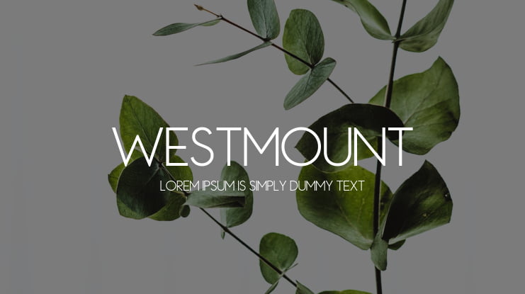 Westmount Font Family