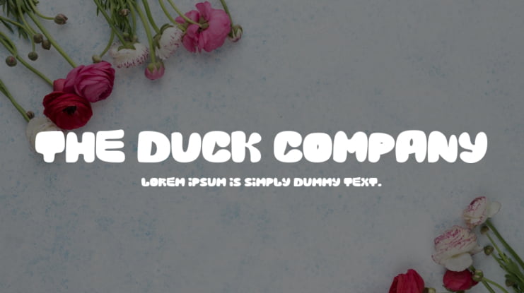 The Duck Company Font