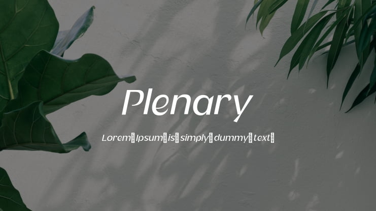 Plenary Font Family