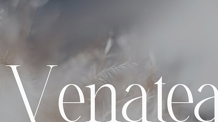 Venatea Font