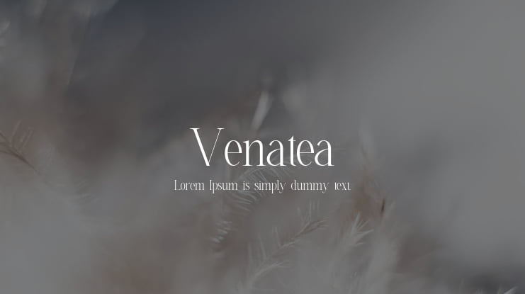 Venatea Font