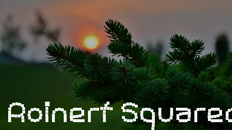 Roinert Squared Font Family