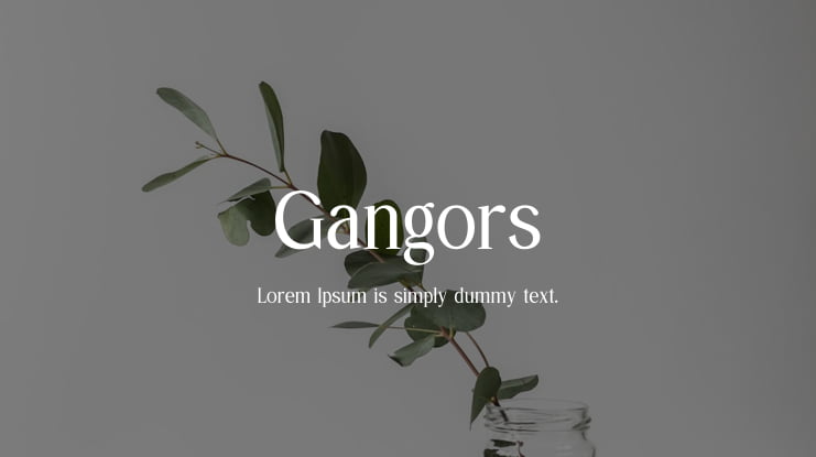 Gangors Font