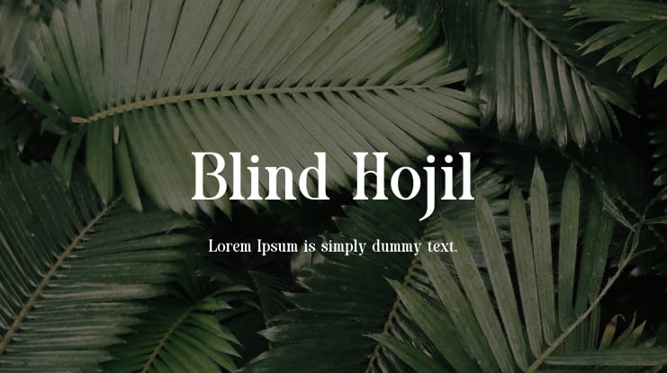 Blind Hojil Font