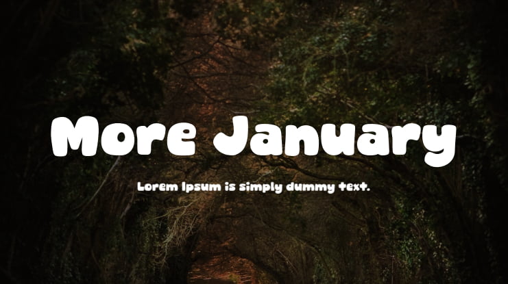 More January Font