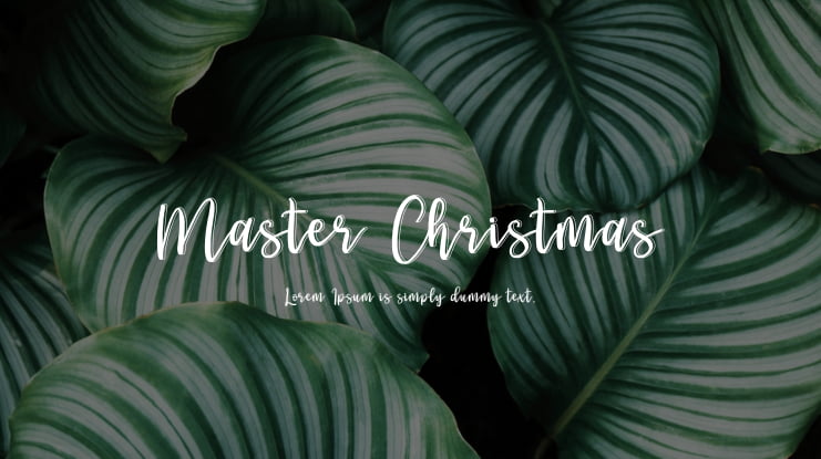 Master Christmas Font