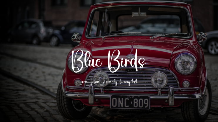 Blue Birds Font