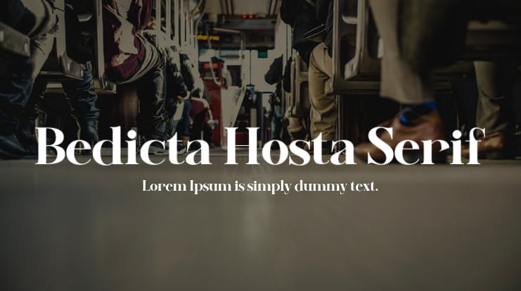 Bedicta Hosta Serif Font Family