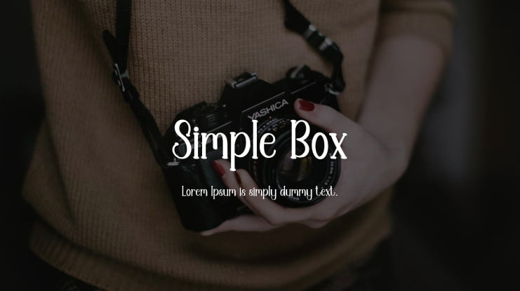 Simple Box Font