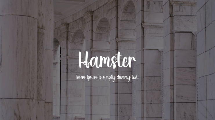 Hamster Font