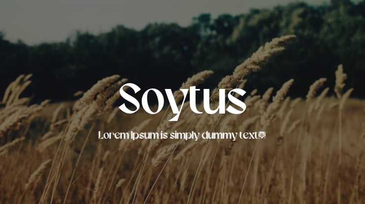 Soytus Font