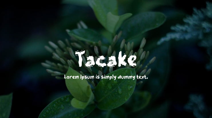 Tacake Font