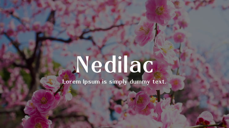 Nedilac Font