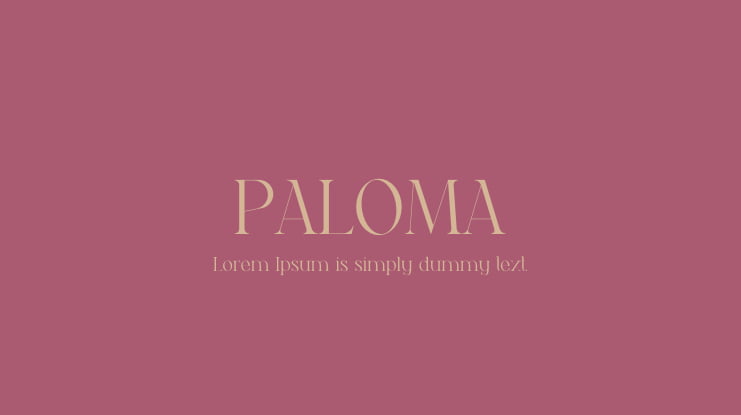 PALOMA Font