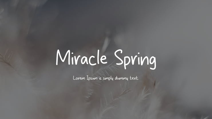 Miracle Spring Font