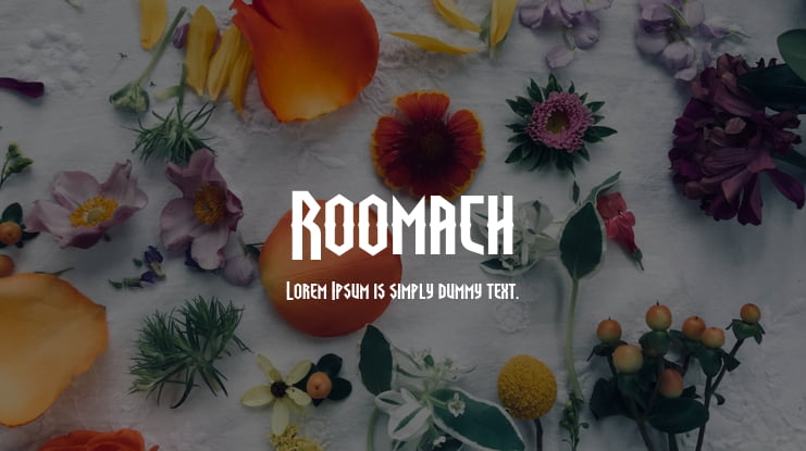 Roomach Font