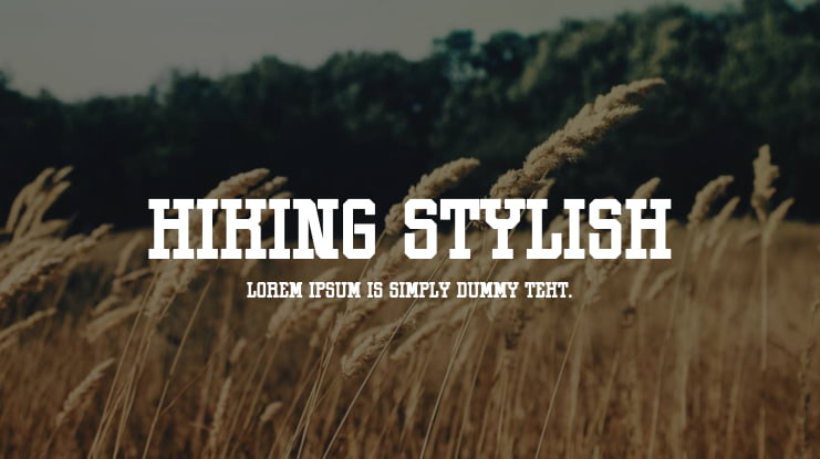 Hiking Stylish Font