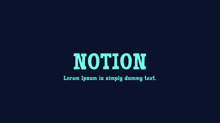 NOTION Font