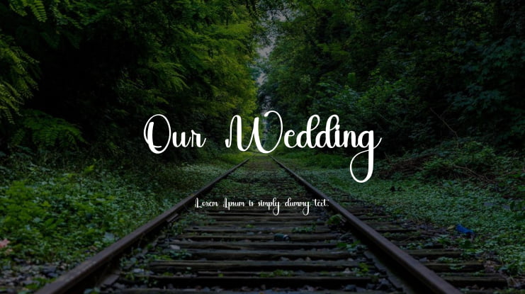 Our Wedding Font