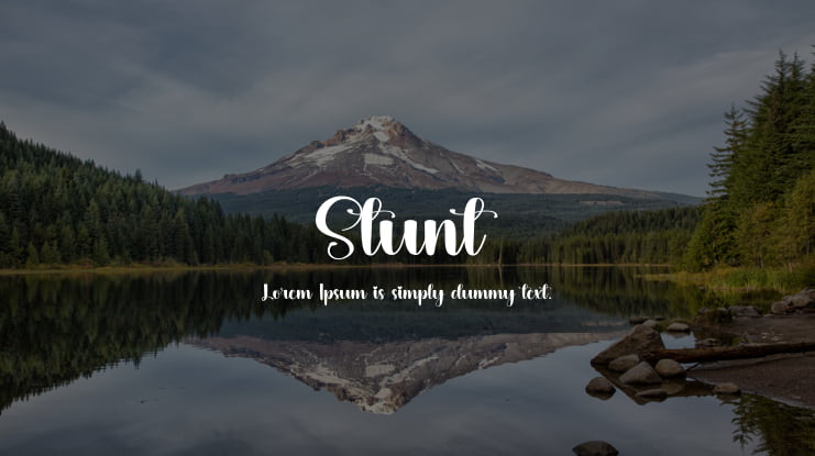 Stunt Font